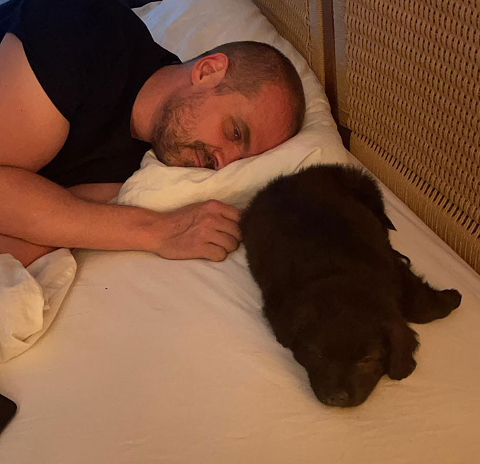 David Harbour lying on a bed with his head on a pillow next to a sleeping black puppy in a cozy bedroom setting.