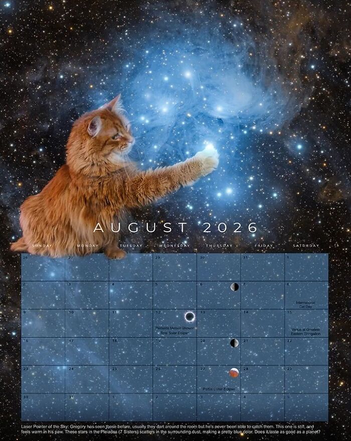 Orange rescue cat reaching out paw against a cosmic starry background in the 2026 feline space calendar.