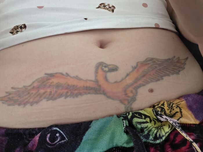 Colorful bird tattoo spanning a lower stomach showing a phoenix design, part of unusual tattoos people allowed on their bodies.
