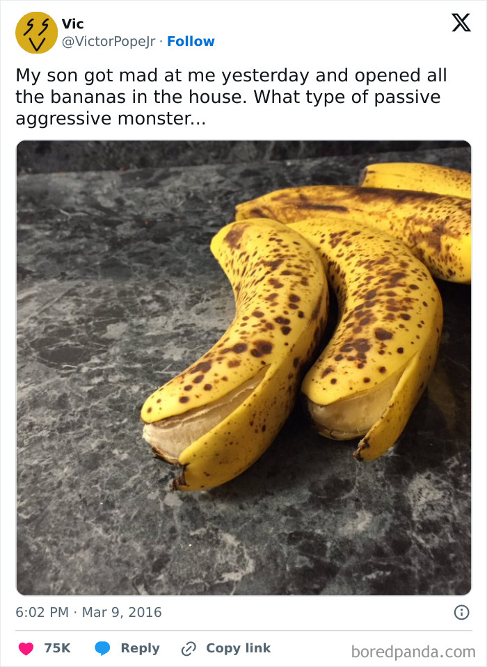 Partially peeled spotted bananas on a countertop showing an example of petty revenge in a household setting.