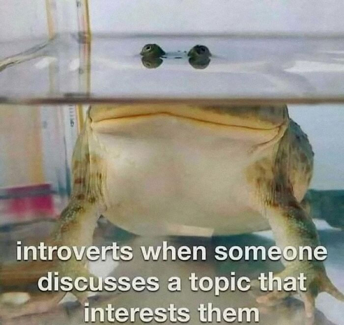 Funny Thunder Dungeon meme showing a half-submerged frog captioned about introverts and topics that interest them.