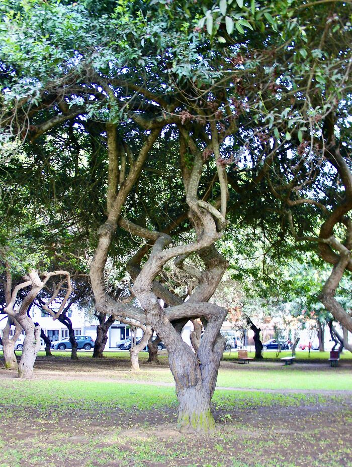 I Visited San Borja Sur Park In Lima, Peru With My Sisters, And Here Are The Highlights From Our Trip