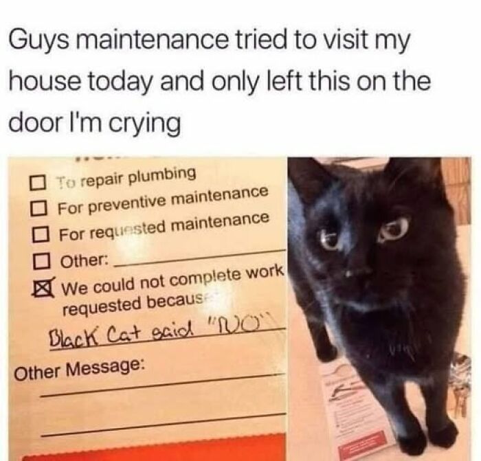 Maintenance notice left by workers explaining repair delay due to black cat, featured in cat meme therapy humor.