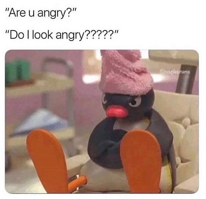 Angry penguin wearing a pink hat with arms crossed, capturing hilarious and relatable relationship memes mood.
