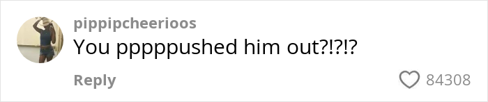 Comment on social media post reading you ppppushes him out with 84308 likes and user handle pippipcheerioos. Comment on social media post reading you ppppushes him out with 84308 likes and user handle pippipcheerioos.