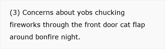Concerns about yobs chucking fireworks through a front door cat flap around bonfire night discussed.