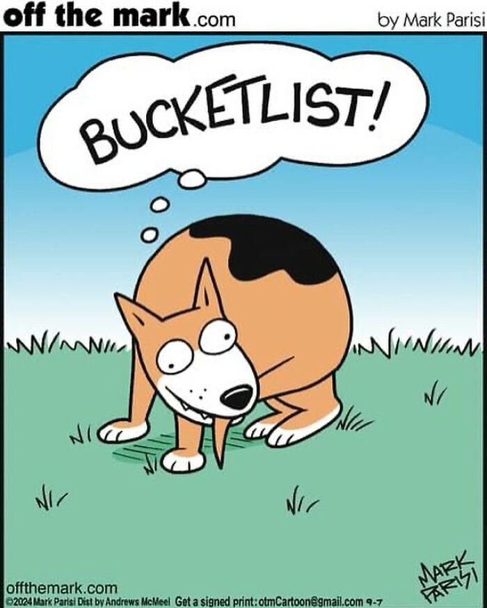 Cartoon dog on grass with a thought bubble saying bucketlist, illustrating humor in everyday life cartoons.