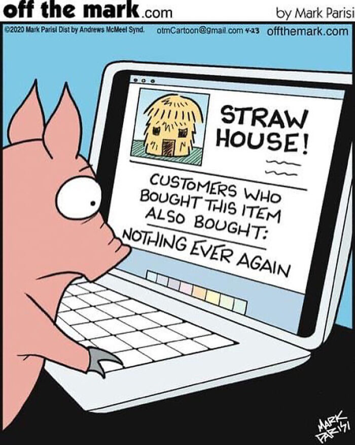 Cartoon pig looking at a laptop showing a straw house product with a humorous review about everyday life.