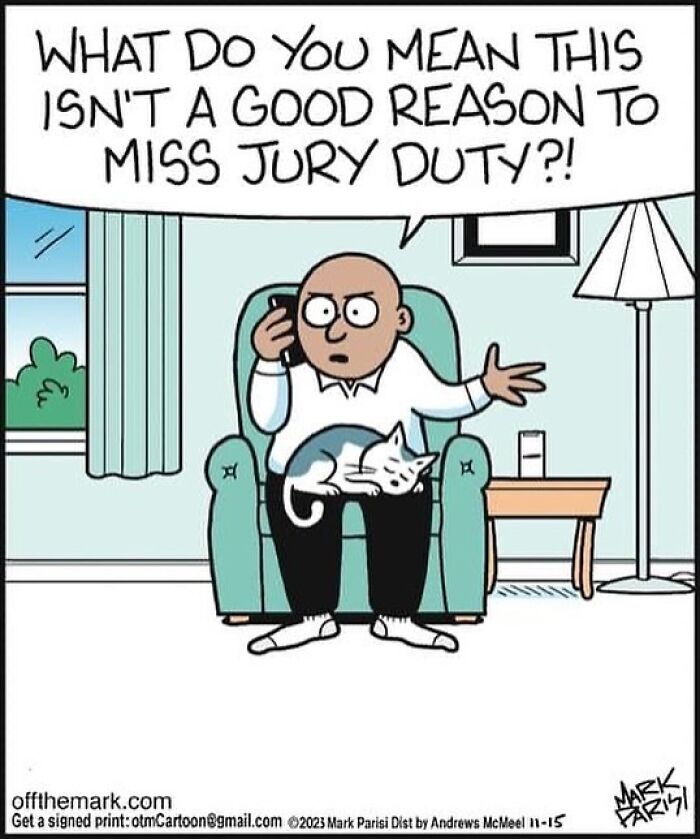 Cartoon of a man on phone with a cat on his lap, humorously questioning missing jury duty in everyday life cartoons.