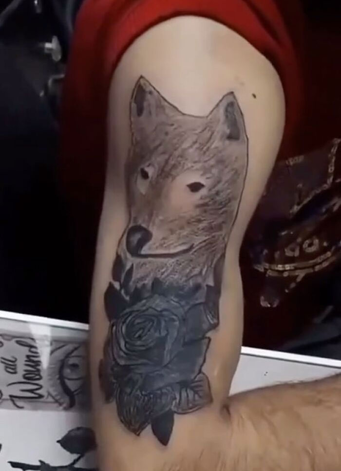 Tattoo of a wolf head with a rose on a person's forearm, an example of awful tattoos and questionable decisions.