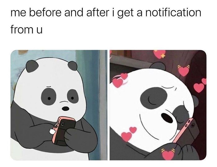 Panda cartoon showing reaction before and after getting a notification, capturing funny and relatable relationship memes.
