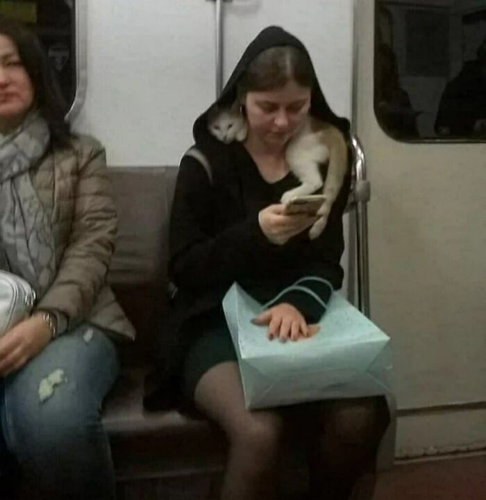 Woman on subway with a cat draped over her shoulder, illustrating one of the hilarious cat moments caught on camera.