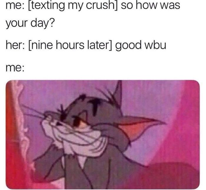 Cartoon cat looking disappointed waiting for delayed reply, illustrating funny and relatable memes about relationships.