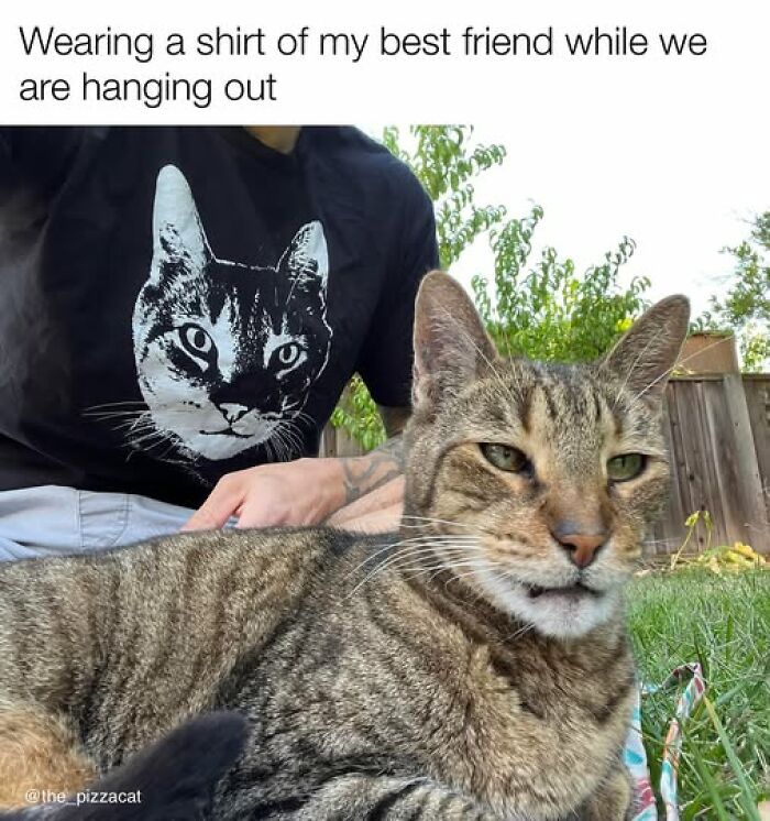 Person wearing a cat print shirt next to a relaxed tabby cat outdoors, showcasing cat meme therapy humor and companionship.