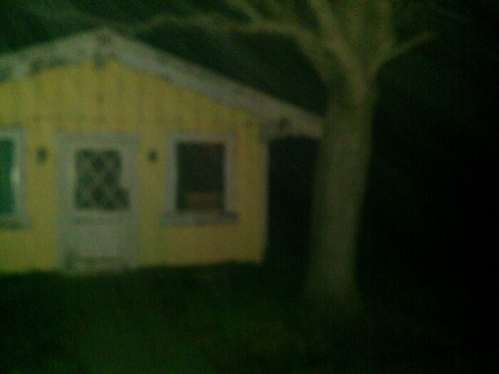 Blurry nighttime photo of a small yellow house and tree, capturing a creepy moment that makes hearts skip a beat.