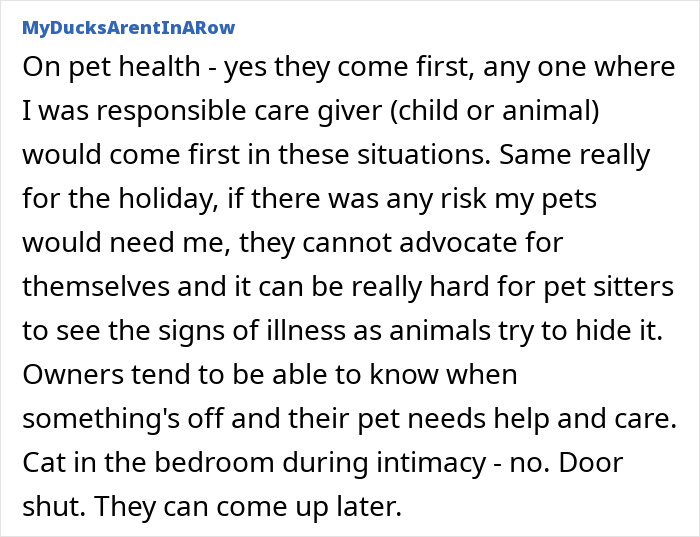 Person gently stroking a calm cat during intimacy in a cozy bedroom setting, showing affectionate pet care.