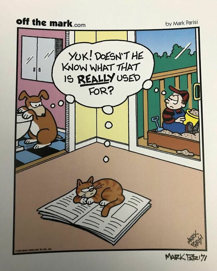 Cartoon from Off the Mark showing pets misunderstanding everyday life in a humorous and relatable scene.