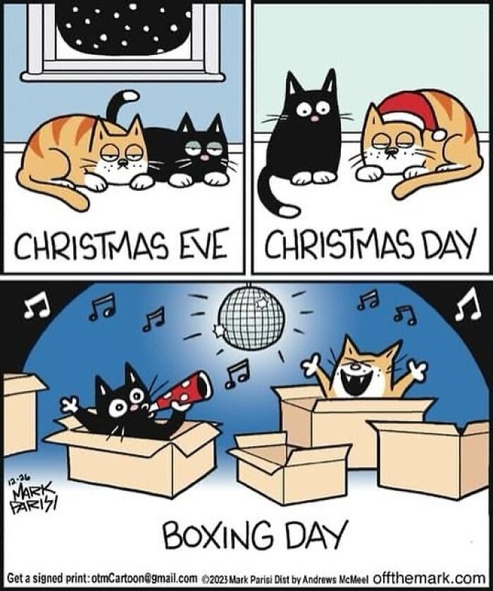 Two cats show tiredness on Christmas Eve and Day, then party energetically inside boxes on Boxing Day cartoon.