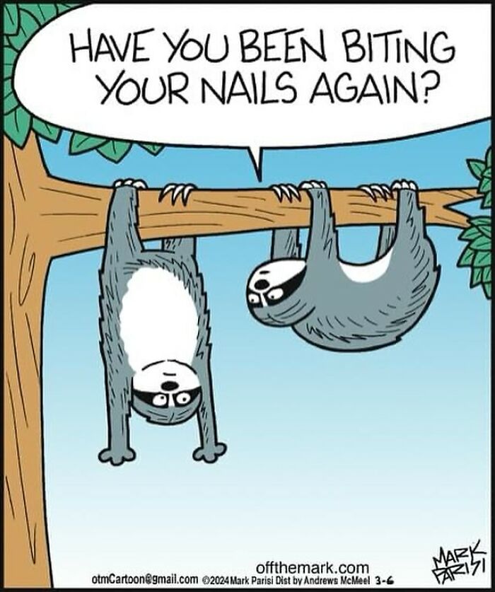 Cartoon of two sloths on a tree branch with one asking if the other has been biting nails, illustrating everyday life humor.