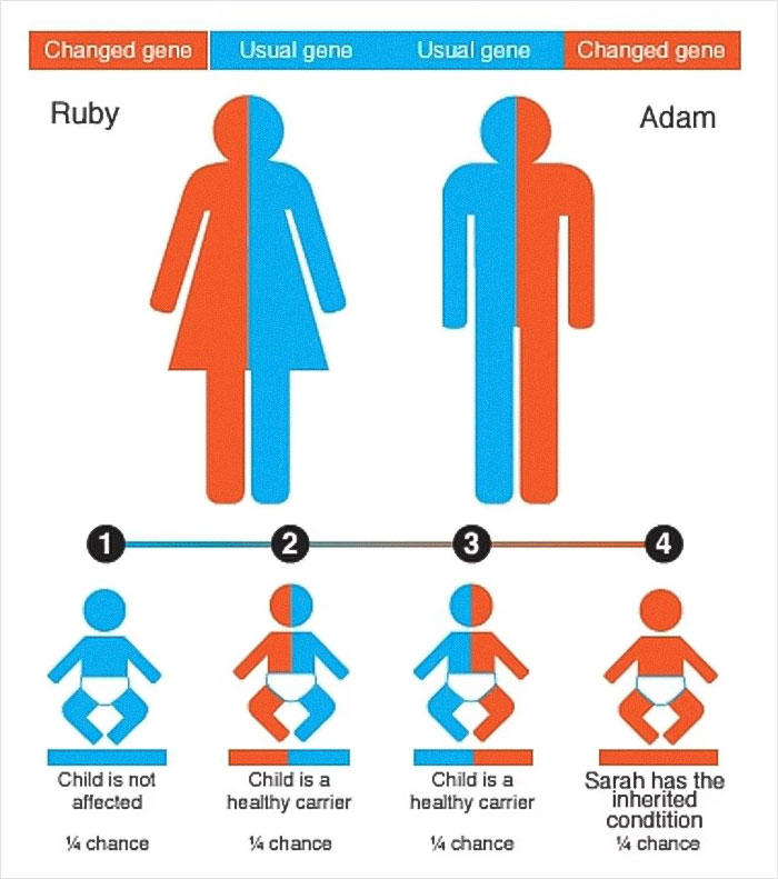 Genetic inheritance diagram showing risks of inherited conditions in children from cousins, related to UK health guidance controversy.
