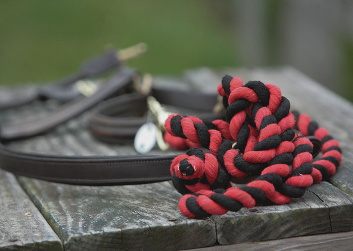 Red and black twisted ropes lying on a wooden surface, symbolizing severe mistreatment in a disturbing escape case.