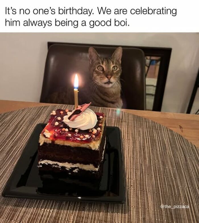 Tabby cat sitting behind a birthday cake with a candle, celebrating being a good boi in a cat meme therapy post.