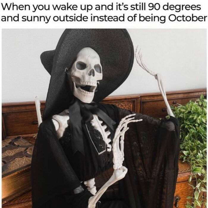 Skeleton dressed in black witch costume sitting indoors, relatable meme for horror and Halloween fans about warm October weather.
