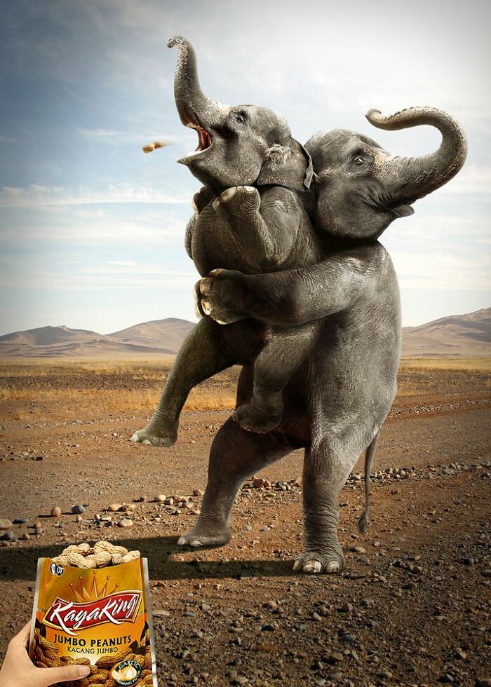 Two playful baby elephants standing and hugging in a desert setting for an ad campaign featuring elephants.