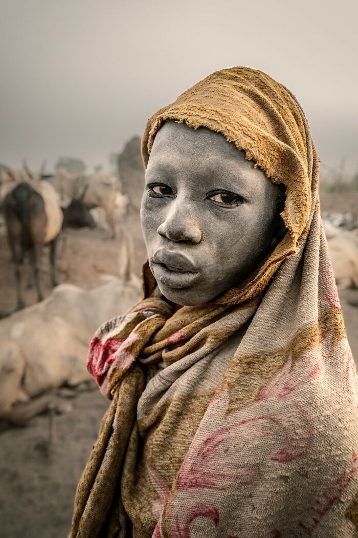 Photographer walking with camera among sheep in a misty landscape, capturing award-winning photos for 2025 contest.