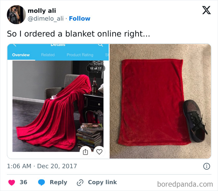 Red blanket ordered online vs. much smaller version received, illustrating careless online shopping backfired hilariously.