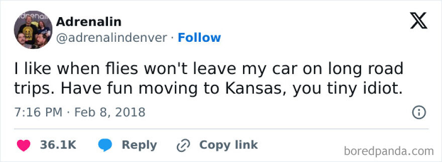 Screenshot of a humorous tweet about flies on car trips, illustrating popular dad jokes and memes online.
