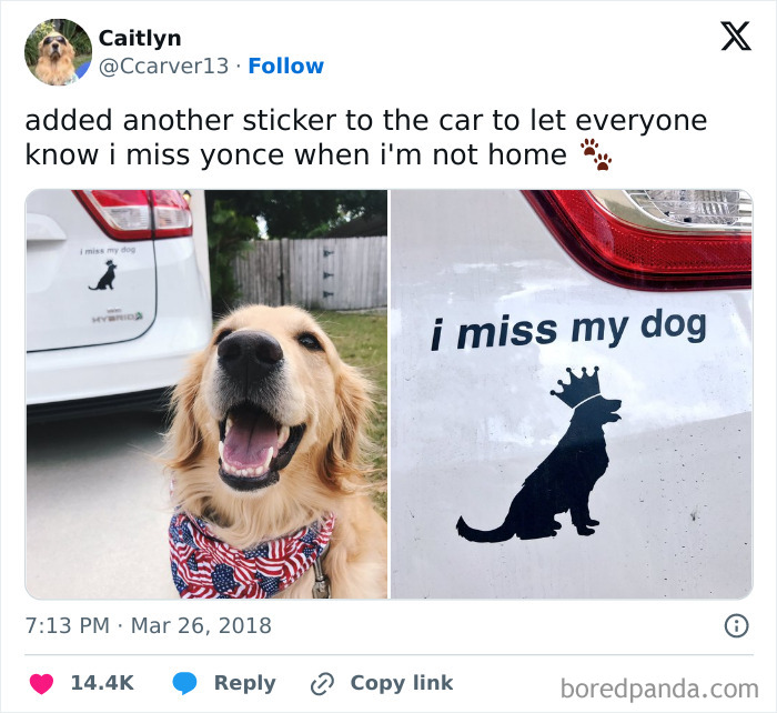 Happy dog wearing a patriotic bandana next to a car with a clever bumper sticker saying i miss my dog.