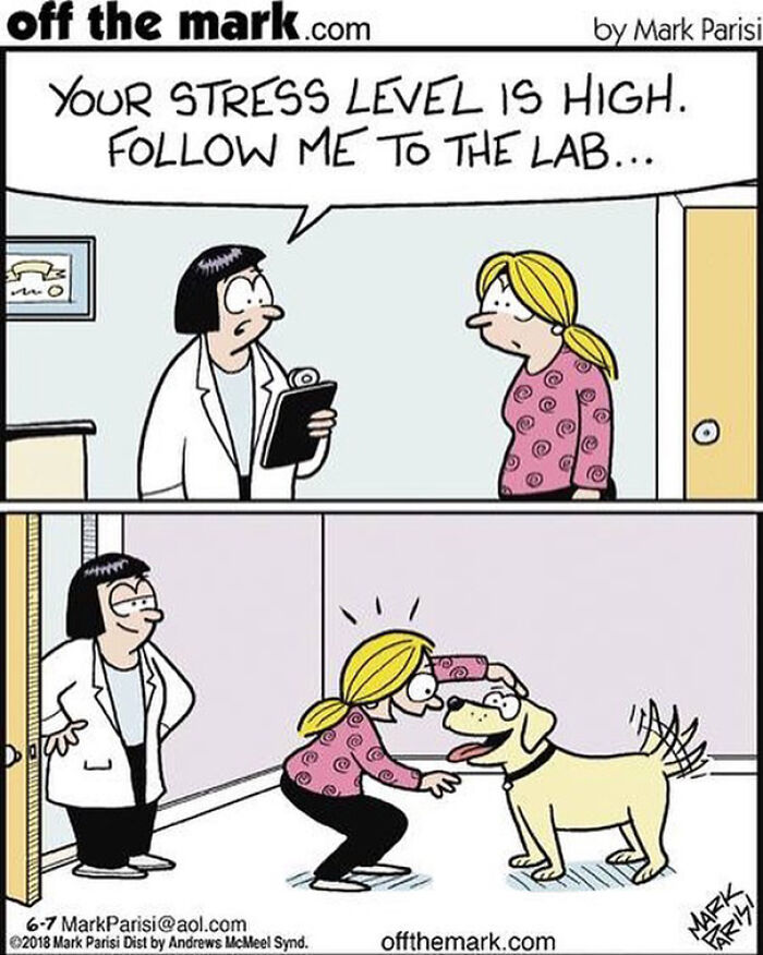 Cartoon showing a doctor telling a woman her stress is high, then she happily pets a dog in a humorous everyday life cartoon.