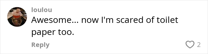 User comment expressing fear about toilet paper danger after a viral public bathroom video revealing risks.