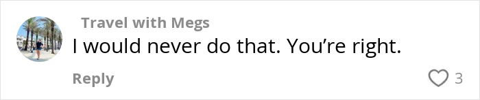 Screenshot of a social media comment responding to a viral video of strangers sleeping on a cruise balcony.