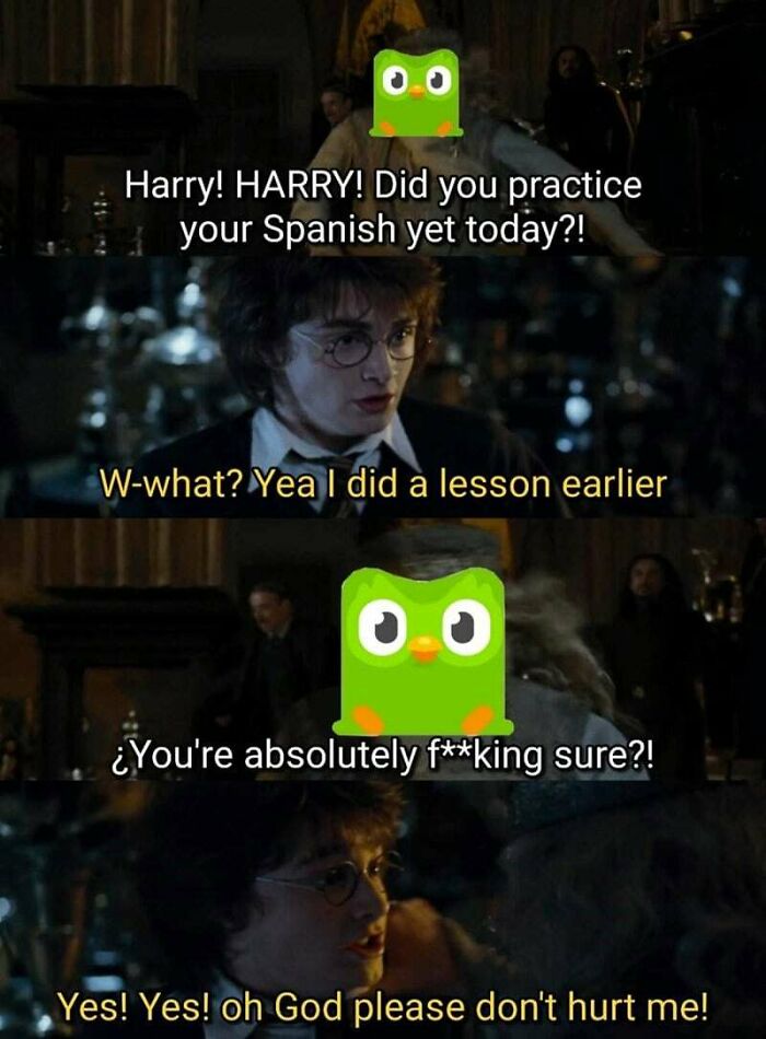 So Relatable For Those Who Have Duolingo