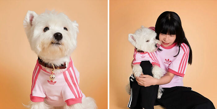 White dog wearing pink pet fashion outfit from popular brand, sitting next to a girl in matching casual sportswear.