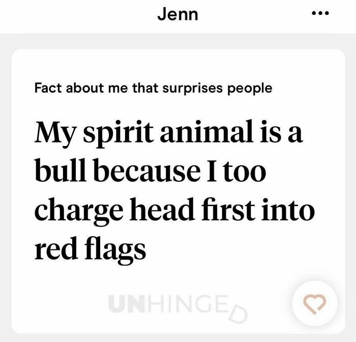 Dating app profile text where user jokes about being a spirit animal bull who charges headfirst into red flags.
