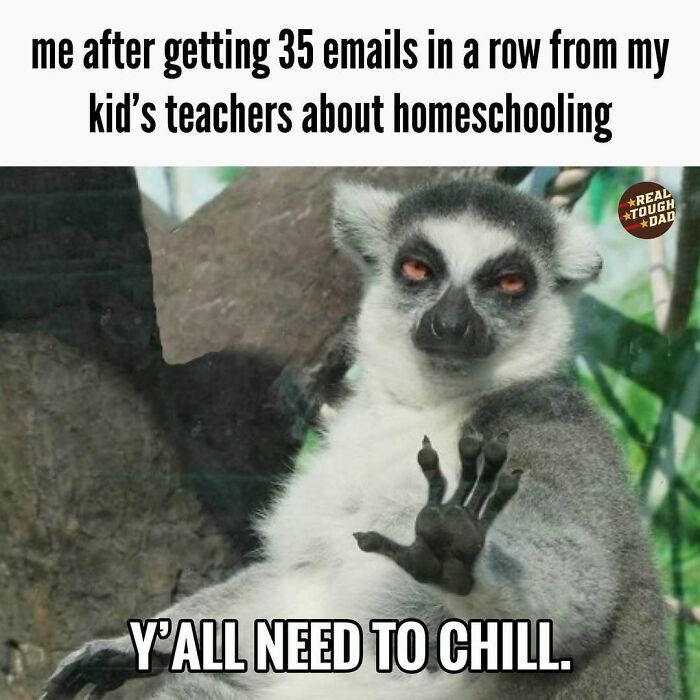 Relatable parenting meme with a lemur saying y’all need to chill after emails from kid’s teachers about homeschooling.