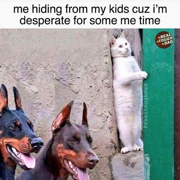 Cat hiding behind a wall while two dogs look on, relatable parenting meme about needing some me time from kids.