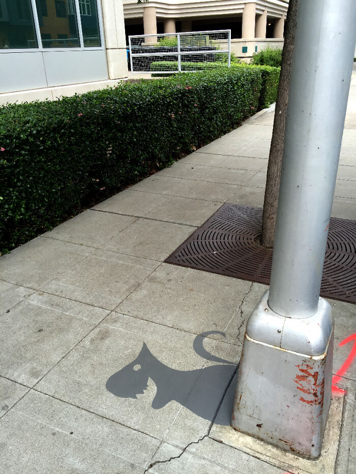 Shadow art installation on sidewalk creates a clever silhouette of a cat from the base of a street pole.