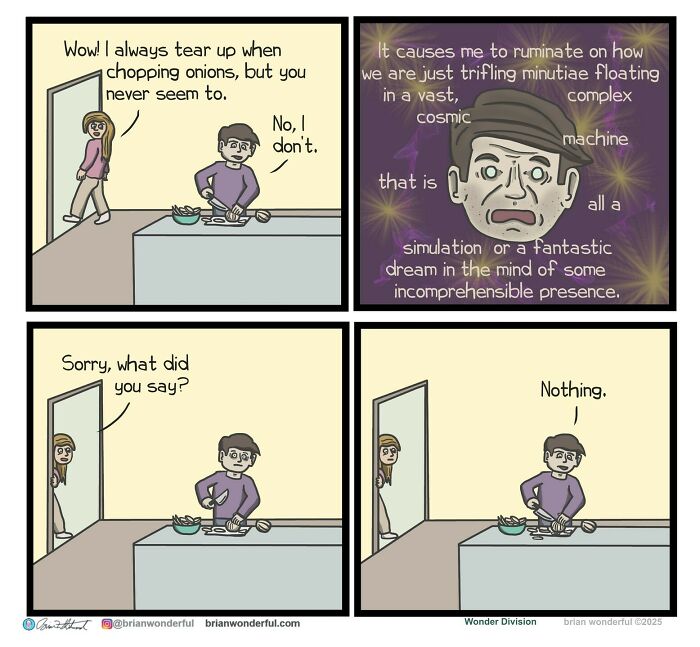 Four-panel dark humor comic by Brian Wonderful showing a man chopping onions, reflecting on cosmic simulation, then saying nothing.