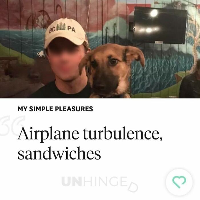 Person wearing a BC PA hat holding a dog with text about simple pleasures on a dating app profile, highlighting unhinged humor.