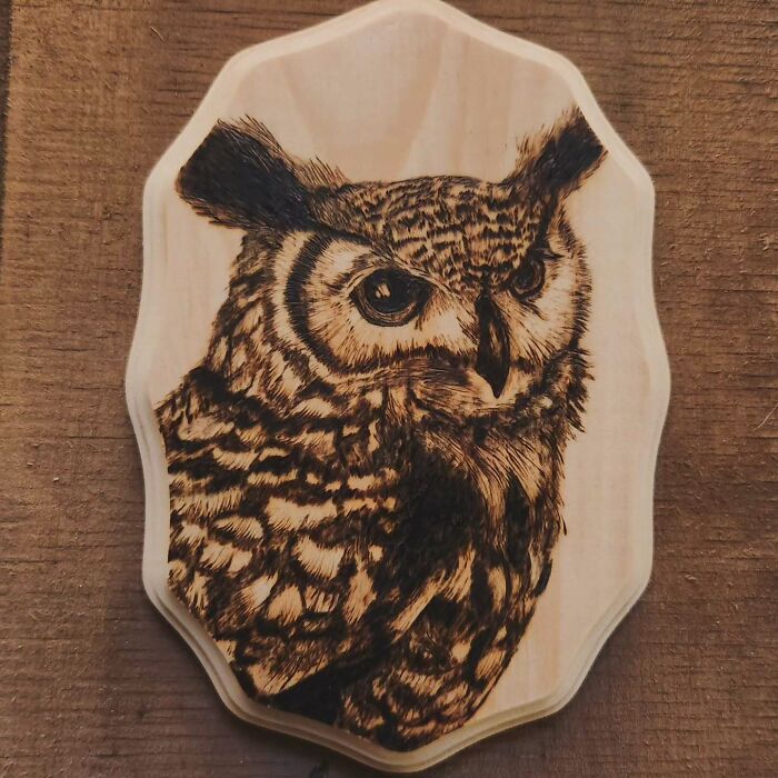 Wood-burned owl artwork created by Canadian artist Kat Slota using fire for stunning detailed effects on wood.