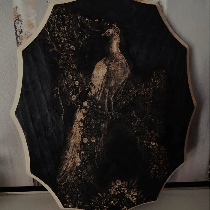 Wood-burned artwork of a peacock on dark wood panel by Canadian artist Kat Slota using fire techniques.