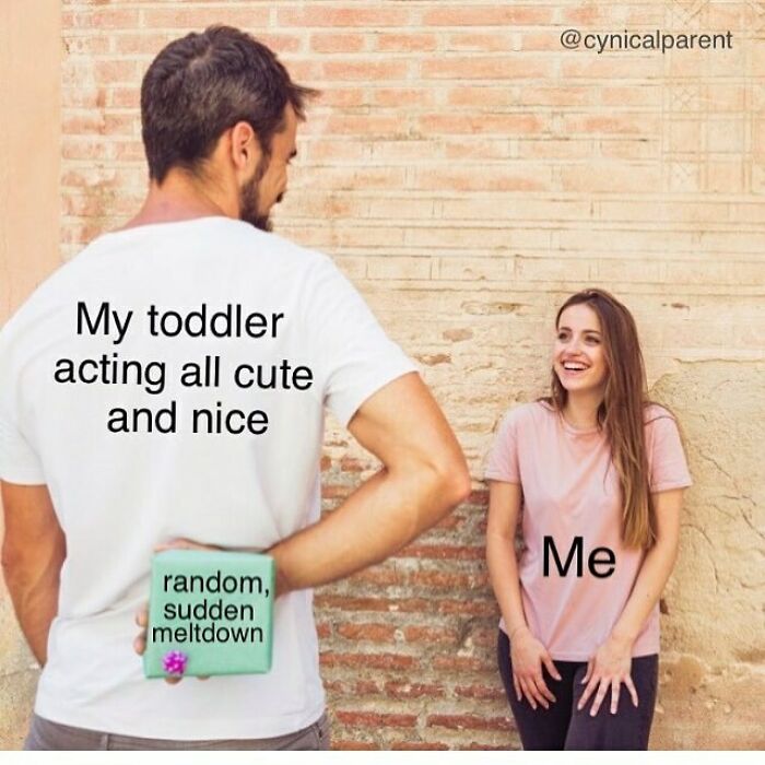 A laughing woman labeled Me faces a man labeled My toddler acting cute, hiding a note that says random sudden meltdown parenting meme.