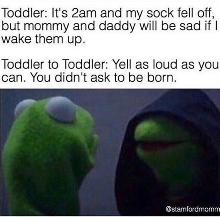 Parenting meme showing two Kermit figures with text about a toddler debating waking parents at 2am, relatable parenting humor.
