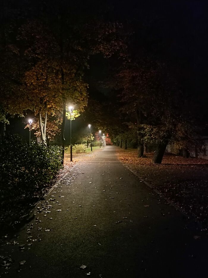 Pathway lined with autumn trees and fallen leaves illuminated by street lamps at night, autumn photos vibe.