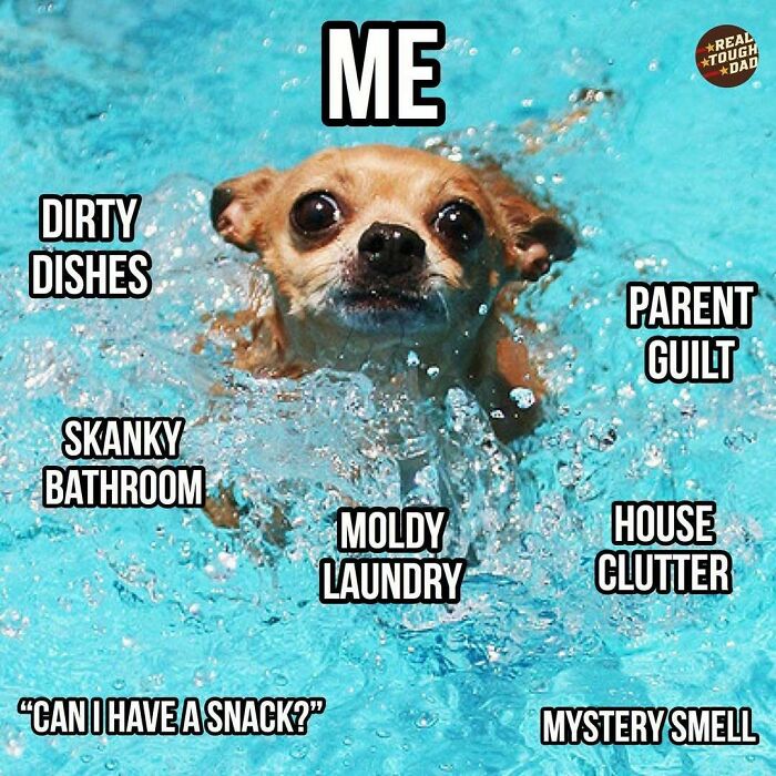 Small dog swimming struggling against water labeled with relatable parenting memes like dirty dishes and parent guilt.