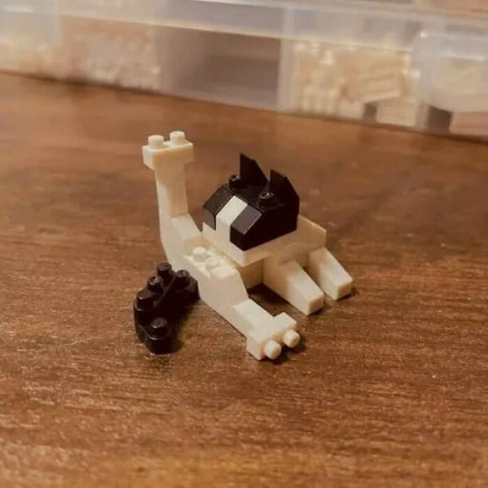 Gatito hecho con bloques de construcción en pose divertida, destacando entre los gatos perfectos para la pasarela.